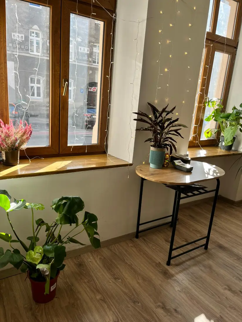 Poczekalnia z zieloną ścianą, Marsi Studio Szczecin